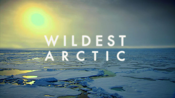 Netflix Serie - Wildest Arctic - Nu op Netflix