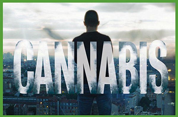 Netflix Serie - Cannabis - Nu op Netflix